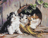 Friendly Shelter B520L Counted Cross-Stitch Kit - Wizardi