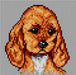 Gobelin canvas for halfstitch without yarn Small Spaniel 1469D - Wizardi