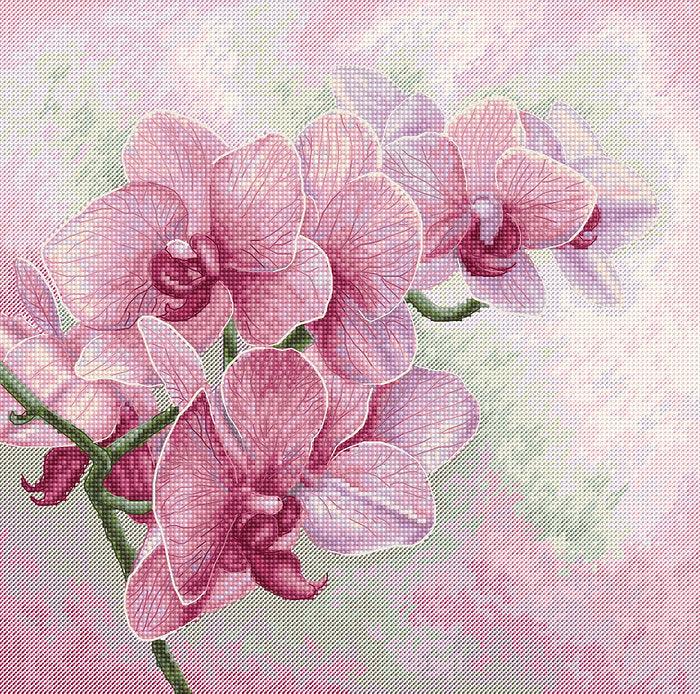 Graceful Orchids B7009L Counted Cross-Stitch Kit - Wizardi