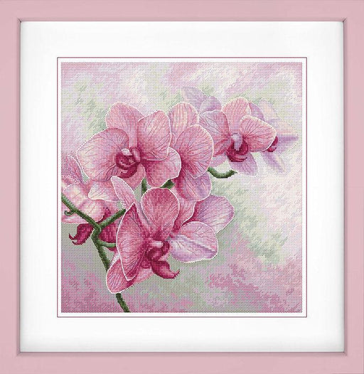 Graceful Orchids B7009L Counted Cross-Stitch Kit - Wizardi