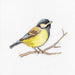 Great tit B1155L Counted Cross-Stitch Kit - Wizardi