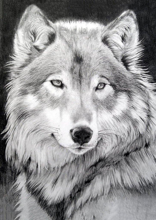 Grey Wolf CS086 10.6 x 14.9 inches Wizardi Diamond Painting Kit - Wizardi