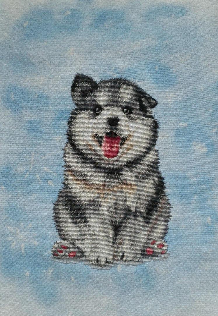 Husky Puppy - PDF Counted Cross Stitch Pattern - Wizardi