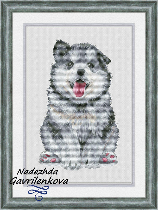 Husky Puppy - PDF Counted Cross Stitch Pattern - Wizardi