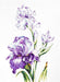 Irises B2251L Counted Cross-Stitch Kit - Wizardi