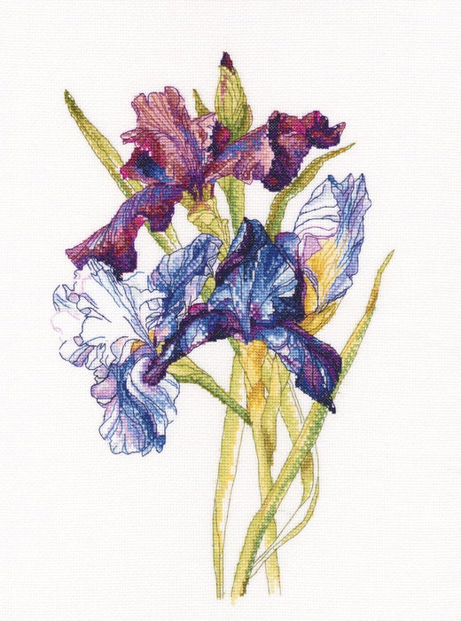 Irises rainbow M580 Counted Cross Stitch Kit - Wizardi