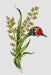 Ladybug - PDF Cross Stitch Pattern - Wizardi