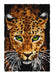 Latch hook rug kit "Leopard" 4164 - Wizardi