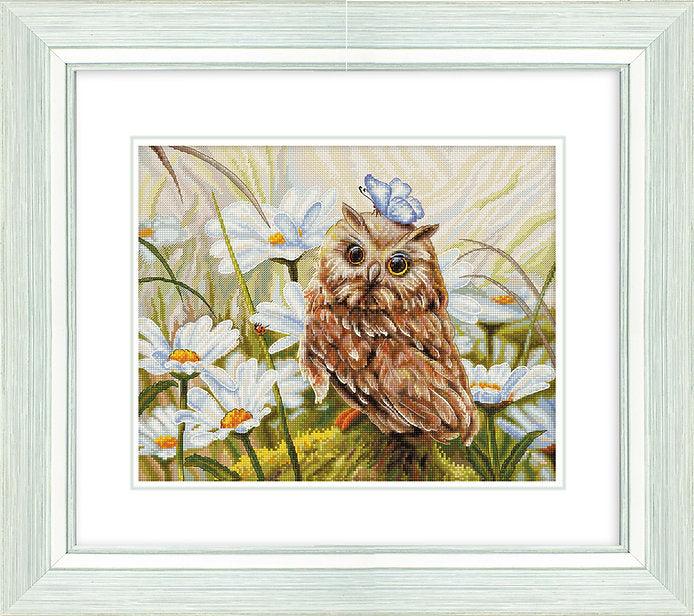 Lucky Owl B7011L Counted Cross-Stitch Kit - Wizardi