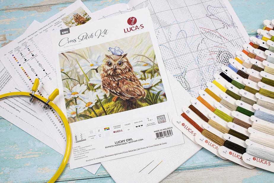 Lucky Owl B7011L Counted Cross-Stitch Kit - Wizardi