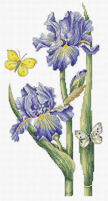 May Iris B7001L Counted Cross-Stitch Kit - Wizardi