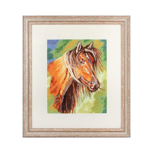 Mustang M492 Counted Cross Stitch Kit - Wizardi