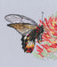 Nectar for butterfly M755 Counted Cross Stitch Kit - Wizardi