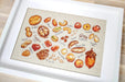 Nuts & seeds B1165L Counted Cross-Stitch Kit - Wizardi