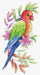 Parrot SV-535 Cross stitch kit - Wizardi