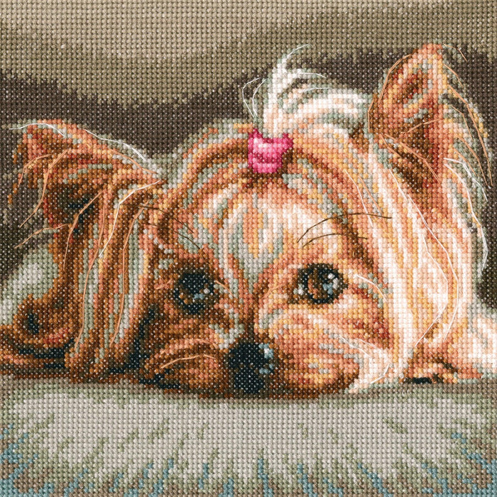 Pet M709 Counted Cross Stitch Kit - Wizardi