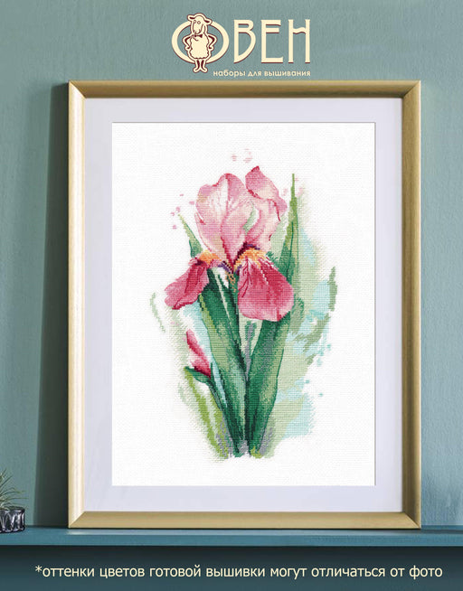 Pink iris 1424 Counted Cross Stitch Kit - Wizardi