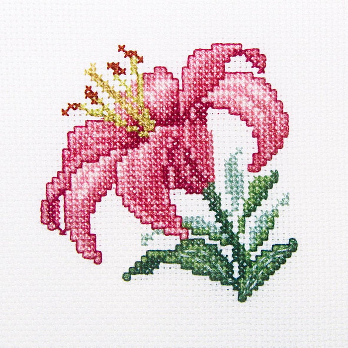 Pink Lily H247 Counted Cross Stitch Kit - Wizardi