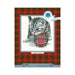 Playful kitten M708 Counted Cross Stitch Kit - Wizardi