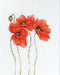 Poppies B2224L Counted Cross-Stitch Kit - Wizardi