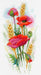 Poppy Charm SA-021 Counted Cross-Stitch Kit - Wizardi