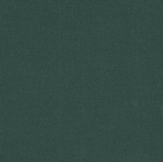 Precut Zweigart Lugana 25 count Forest Green 3835/647 - Wizardi