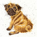 Pug XHD11 Counted Cross Stitch Kit - Wizardi