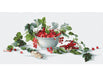 Red Currants B2260L Counted Cross-Stitch Kit - Wizardi