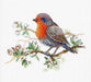 Robin Cross Stitch Kit A-029 / SA-029 - Wizardi