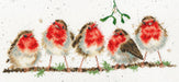 Rockin' Robins XHD69 Counted Cross Stitch Kit - Wizardi