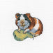 Rodent Bonn H260 Counted Cross Stitch Kit - Wizardi