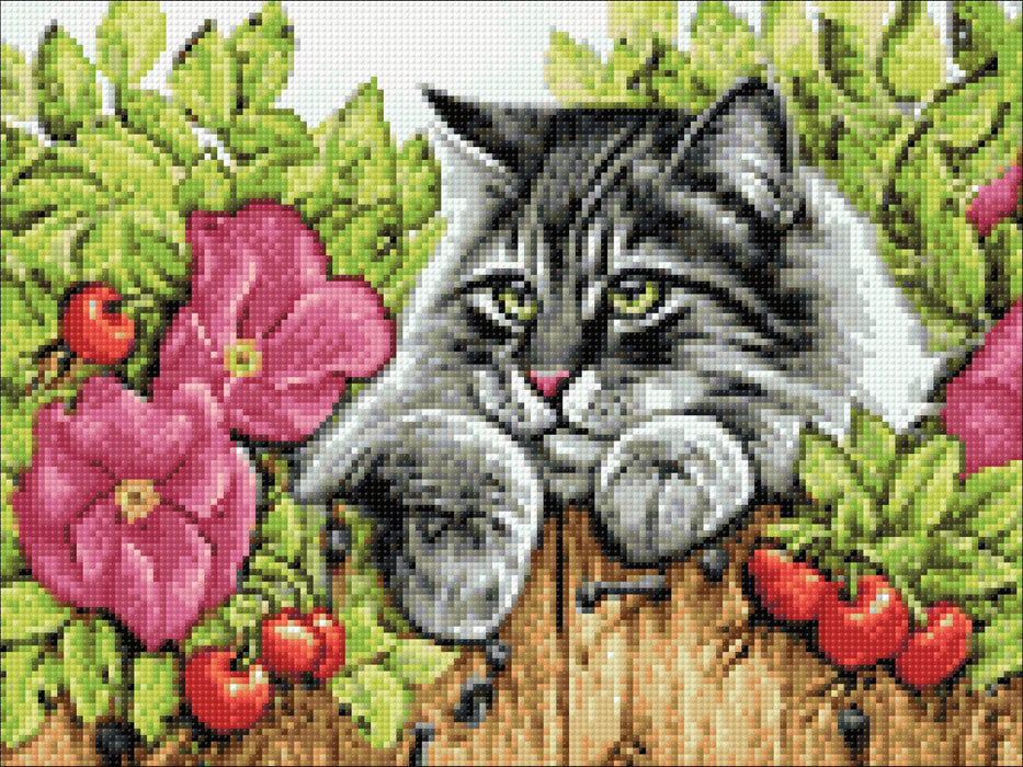 Rose Hedge CS2425 15.8 x 11.8 inches Crafting Spark Diamond Painting Kit - Wizardi