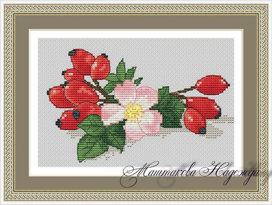 Rose Hip - PDF Free Cross Stitch Pattern - Wizardi