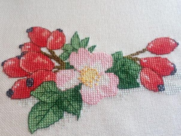 Rose Hip - PDF Free Cross Stitch Pattern - Wizardi