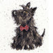 Scottie XHD13 Counted Cross Stitch Kit - Wizardi