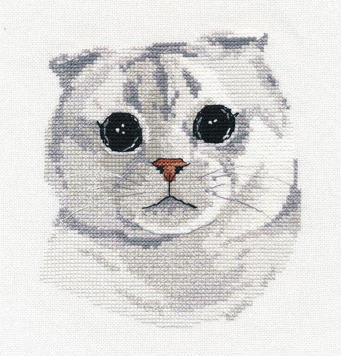 Scottish Fold 1323 Kitten Counted Cross Stitch Kit - Wizardi