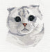 Scottish Fold 1323 Kitten Counted Cross Stitch Kit - Wizardi