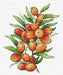 Sea Buckthorn Mood SM-591 Counted Cross Stitch Kit - Wizardi