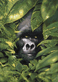 Silverback WD2407 10.6 x 14.9 inches Wizardi Diamond Painting Kit - Wizardi