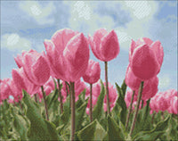 Sky and Tulips WD2301 18.9 x 14.9 inches Wizardi Diamond Painting Kit - Wizardi