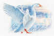 Snow goose M855 Counted Cross Stitch Kit - Wizardi