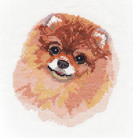 Spitz 1324 Dog Counted Cross Stitch Kit - Wizardi