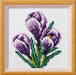 Stamped Cross stitch kit " Crocuses" 7510 - Wizardi