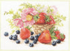 Strawberries 5-14 Counted Cross-Stitch Kit - Wizardi