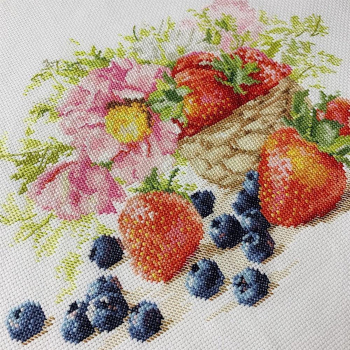 Strawberries 5-14 Counted Cross-Stitch Kit - Wizardi