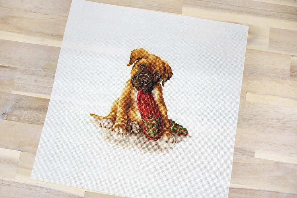 The Boxer B2338L Counted Cross-Stitch Kit - Wizardi