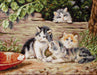 The Cats B556L Counted Cross-Stitch Kit - Wizardi