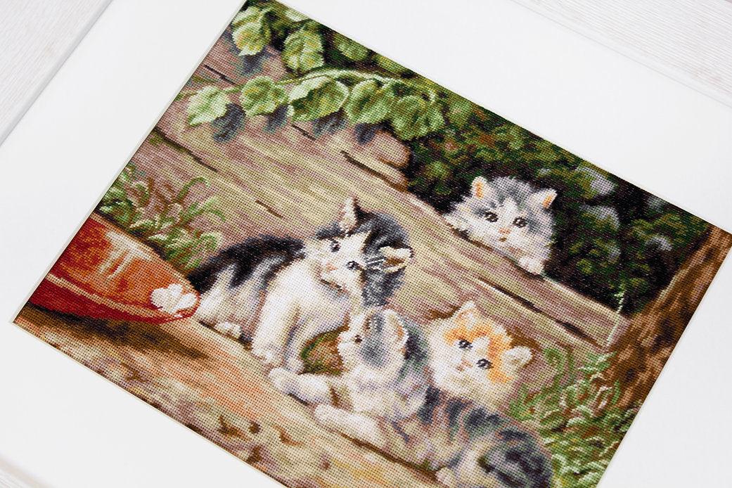 The Cats B556L Counted Cross-Stitch Kit - Wizardi