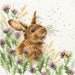 The Meadow XHD30 Counted Cross Stitch Kit - Wizardi