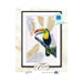 Toucan M746 Counted Cross Stitch Kit - Wizardi